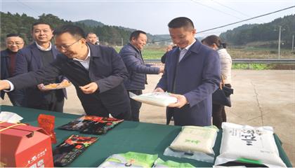 市委常委、政法委書記劉波濤帶隊調研指導定點幫扶村鄉(xiāng)村振興工作